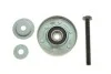 Ролик модуля натяжителя ремня MPQ0599 (Выр-во MagnetiMarelli) 331316170599