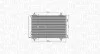 SKRAPLACZ KLIM. C/P C4/BER 08-/307 TU MAGNETI MARELLI 350203916000 (фото 1)