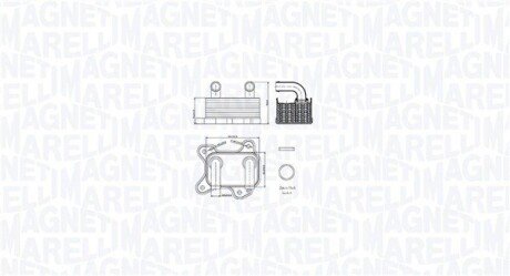 Chłodnica oleju OPEL ASTRA G 1.7DTI 16V MAGNETI MARELLI 350300002000