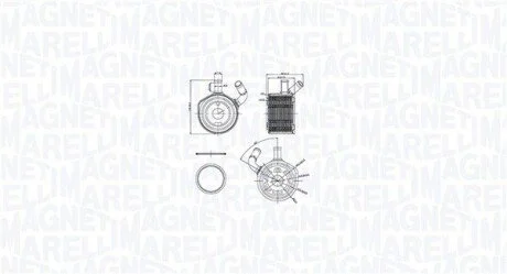 Chłodnica oleju RENAULT CLIO II 1.5dCi MAGNETI MARELLI 350300002900