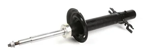 Амортизатор передний MAGNETI MARELLI 351974070000