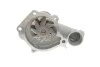 Помпа водяна WPQ0612 (MagnetiMarelli) MAGNETI MARELLI 352316170612 (фото 3)