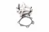 Водяной насос (пр-во Magneti Marelli кор.код. WPQ0809) 352316170809