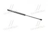 Амортизатор MAGNETI MARELLI 430719013100 (фото 3)