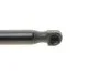 Амортизатор кришки багажника MAGNETI MARELLI 430719033700 (фото 3)