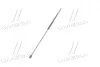 Амортизатор (вір-во) MAGNETI MARELLI 430719038000 (фото 4)