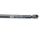 Амортизатор багажника VW Golf V (вір-во кор.код. GS0801) MAGNETI MARELLI 430719080100 (фото 4)