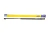 Амортизатор (вир-во Magneti Marelli) 430719089100