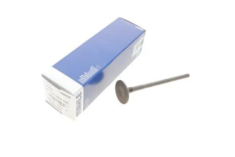 Клапан двигуна MAHLE MAHLE / KNECHT 013 VA 30975 000