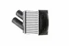 Інтеркулер RENAULT MEGANE I, MEGANE I CLASSIC, MEGANE I COACH, MEGANE SCÉNIC, SCENIC I 1.9D/2.0 01.96-08.03 MAHLE / KNECHT CI344001S (фото 2)