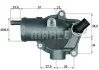 Термостат MAHLE / KNECHT TH 11 87 (фото 1)