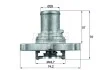 Термостат PKW MAHLE / KNECHT TI 122 87 D (фото 1)