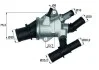 Термостати 147 00- MAHLE / KNECHT TI15588 (фото 1)