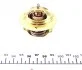 Термостат (Mahle) MAHLE / KNECHT TX 64 82 (фото 3)