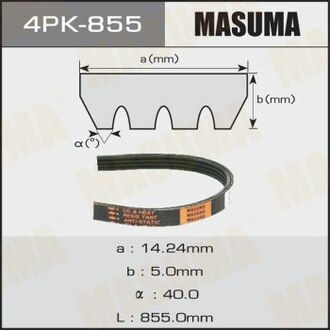Ремень поликлиновый MASUMA 4PK855 (фото 1)