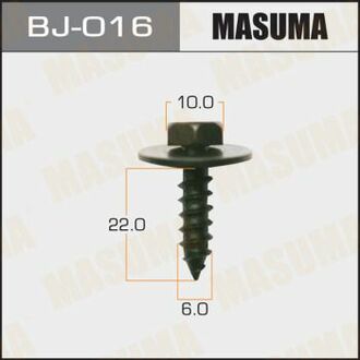 Гвинт з шайбою 6x16мм, MASUMA BJ016