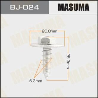 Гвинт з шайбою 5x17 мм, уп.10шт MASUMA BJ024 (фото 1)
