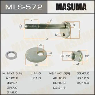 Болт-ексцентрик MASUMA MLS572