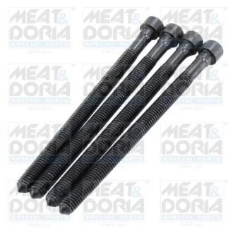 Болт кріплення форсунки VW Caddy 2.0TDI 04-15 MEAT&DORIA 98510 (фото 1)