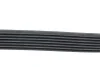 Пас двигателя приводной MERCEDES-BENZ 002993429664 (фото 3)