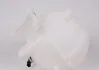Бачок расширительный 9065010503