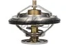 Thermostat 03255