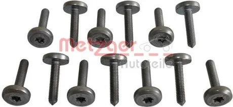 Набір гвинтів з внутр. шестигранником METZGER 8029025 (фото 1)