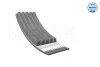 Keilrippenriemen / V-ribbed belt 0500051285