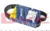 Ремень поликлиновой 6PK894 0500060894