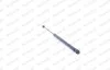 CITROEN Газовый амортизатор капота XSARA (N1), XSARA BREAK (N2), XSARA COUPE (N0), XSARA PICASSO (N68) 09/00- ENGINE HOOD - HAT [430719026 MONROE ML5262 (фото 7)