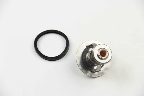Термостат Scudo/Jumpy/Expert (1868mm)/2.0HDI MOTORAD 546-82