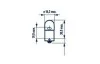 R10W 24V 10W BA15s  |AUXILIARY LAMPS|  10шт 17326