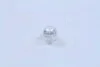 Лампа накаливания W21w 12v 21w W3x16d (выр-во) NARVA 17632CP (фото 4)