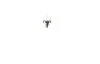 R2 12V 45/40W P45t |ASSYMETRICAL LAMPS| NARVA 49211 (фото 2)