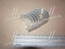 Вкладыши шатунные 0.25mm (к-кт на мотор) Honda B16A CB-2215GP.025