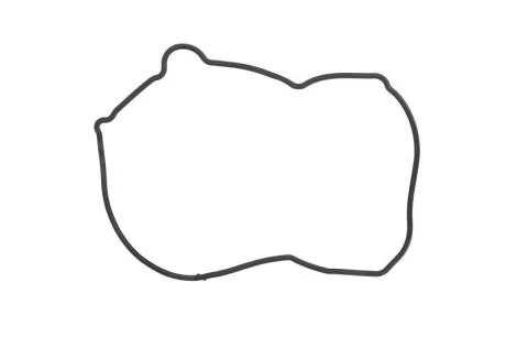 Прокладка крышки ремня грм NISSAN 13520-AD201
