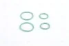 REANULT CLIO (98-), RENAULT CLIO II (01-) NISSENS 89589 (фото 6)