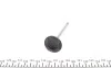 Клапан впуск. Ford Focus/Mondeo/Mazda 6/Volvo S40 II 1.8i 00-12 NPR 147 021 0001 00 (фото 2)