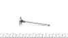 Клапан впуск. Ford Focus/Mondeo/Mazda 6/Volvo S40 II 1.8i 00-12 NPR 147 021 0001 00 (фото 3)