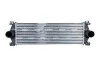Інтеркулер RVI MASCOTT, RENAULT MASTER PRO DXi3-ZD3A604 05.04-12.13 309086