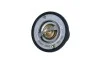 Термостат 71С Opel Movano/Renault Master II 3.0 Dci 03- 725088