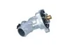 TERMOSTAT 725298