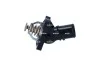 TERMOSTAT NRF 725301 (фото 1)