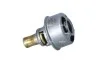 TERMOSTAT 725304