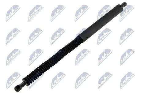 SPRĘŻYNA GAZOWA TYLNEJ KLAPY NTY AEBM108