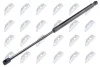 АМОРТИЗАТОР (ГАЗОВА ПРУЖИНА) | L=494MM, F=570N CITROEN C5 04- /LIFTBACK/ AECT031