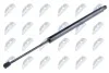 АМОРТИЗАТОР (ГАЗОВА ПРУЖИНА) | L=593MM, F=830N FORD GALAXY, SEAT ALHAMBRA, VW SHARAN 95-10 AEFR045