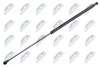АМОРТИЗАТОР (ГАЗОВА ПРУЖИНА) | L=648MM, F=260N NISSAN JUKE 10- AENS010
