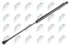 АМОРТИЗАТОР (ГАЗОВА ПРУЖИНА) | L=510MM, F=360N PEUGEOT 206 98-10 AEPE003
