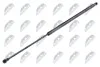 АМОРТИЗАТОР (ГАЗОВА ПРУЖИНА) | L=582MM, F=535N PEUGEOT 206 SW 02- AEPE005